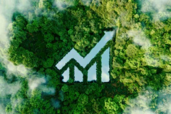 西方投资者在缺席三年之后开始涌入黄金市场